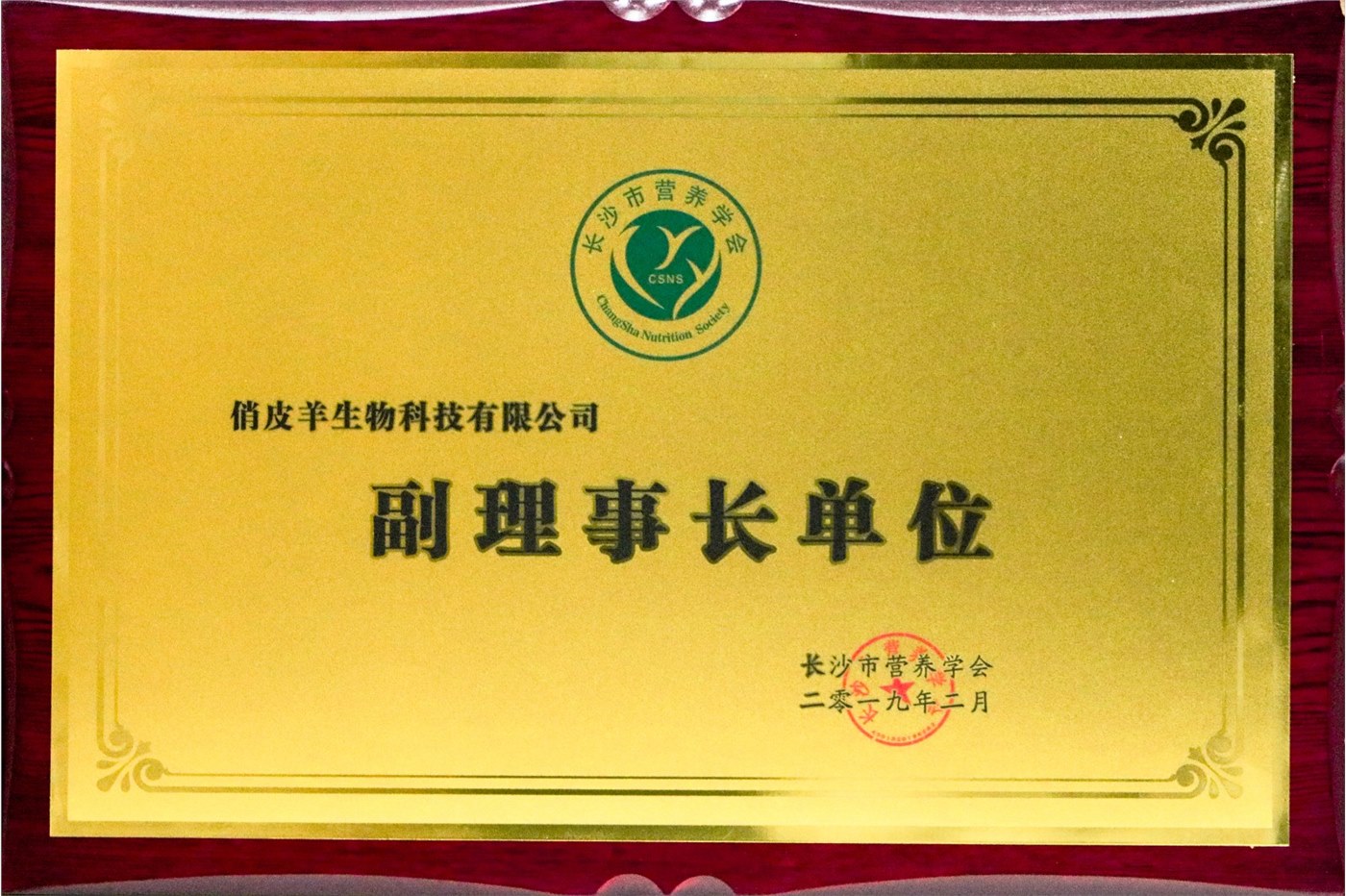 营养学会 副理事长